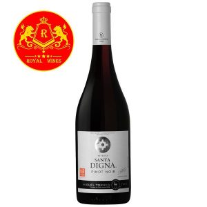 Rượu Vang Santa Digna Reserva Pinot Noir